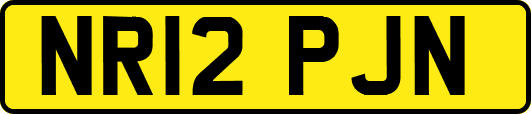 NR12PJN