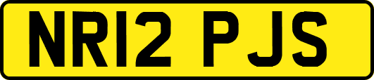 NR12PJS
