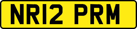 NR12PRM