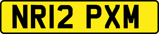 NR12PXM