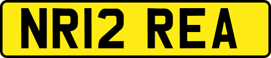 NR12REA