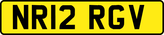 NR12RGV