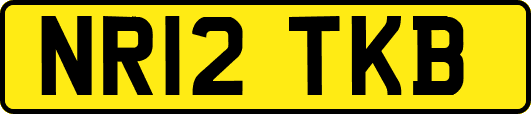 NR12TKB