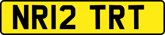 NR12TRT