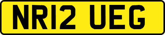 NR12UEG