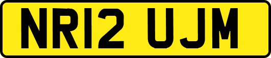 NR12UJM
