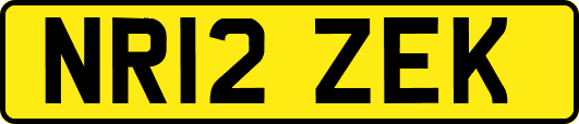 NR12ZEK
