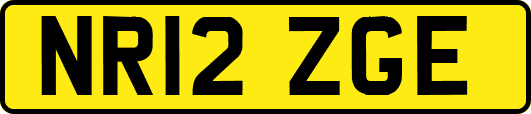 NR12ZGE