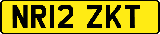 NR12ZKT