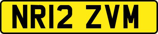 NR12ZVM
