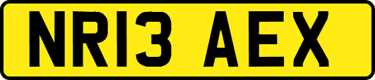 NR13AEX