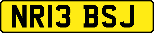 NR13BSJ