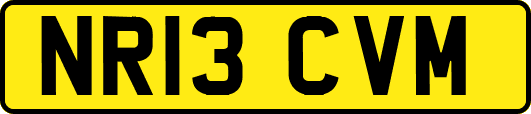 NR13CVM