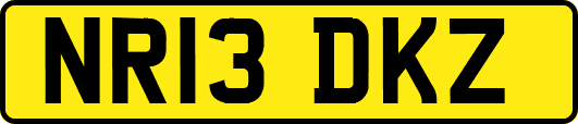 NR13DKZ