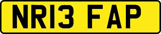 NR13FAP