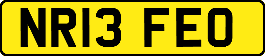 NR13FEO