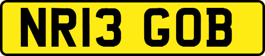 NR13GOB