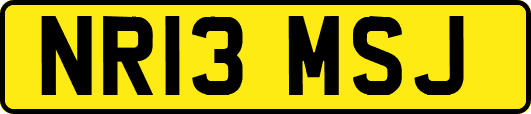 NR13MSJ