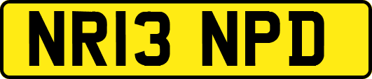 NR13NPD