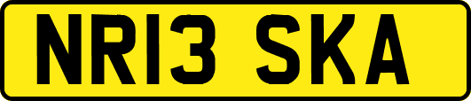 NR13SKA
