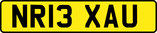 NR13XAU