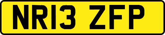 NR13ZFP