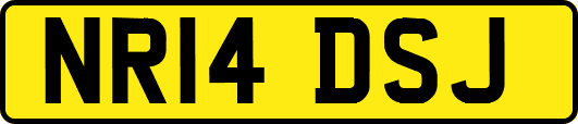 NR14DSJ