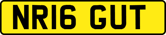 NR16GUT
