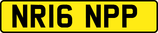 NR16NPP