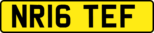 NR16TEF