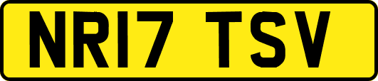 NR17TSV