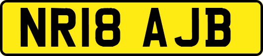 NR18AJB