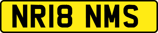 NR18NMS