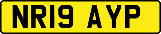 NR19AYP