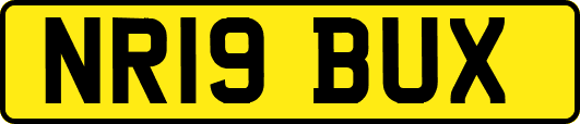 NR19BUX