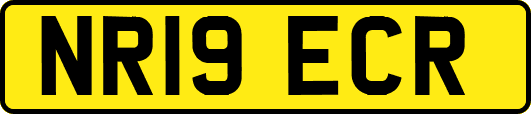 NR19ECR