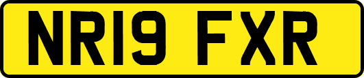 NR19FXR