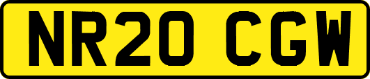 NR20CGW