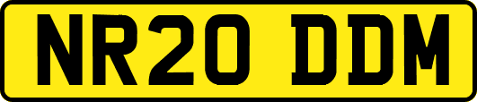 NR20DDM