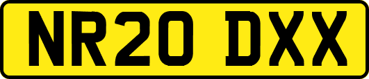 NR20DXX