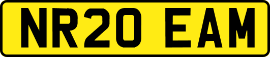 NR20EAM