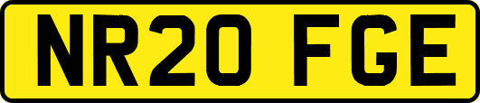 NR20FGE