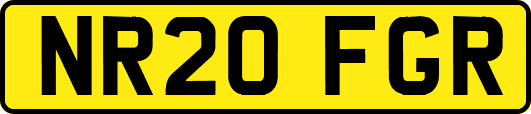 NR20FGR