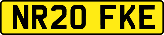 NR20FKE