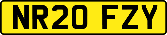 NR20FZY