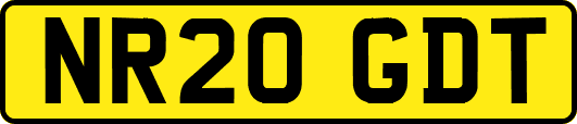 NR20GDT