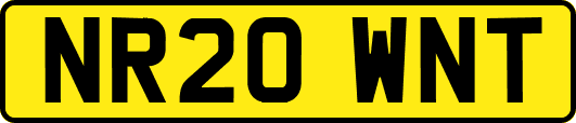 NR20WNT