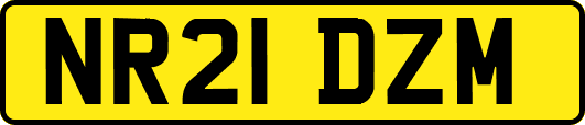 NR21DZM