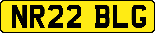 NR22BLG