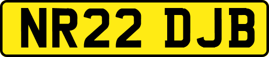 NR22DJB